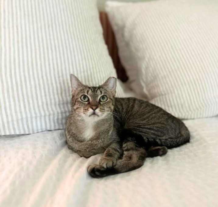 Photo of Mercy Marcy