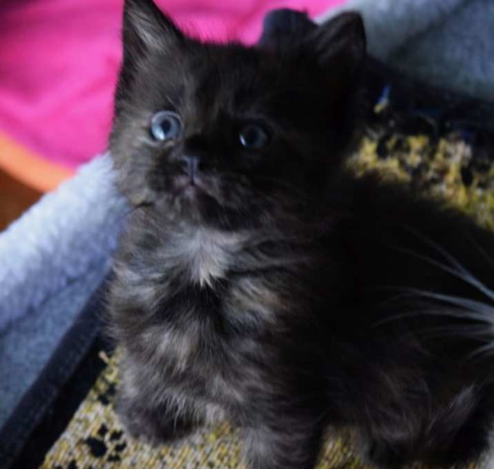 Photo of Jag