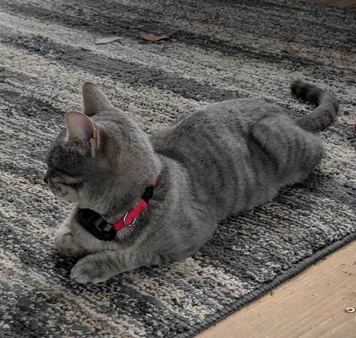 Photo of Penelope