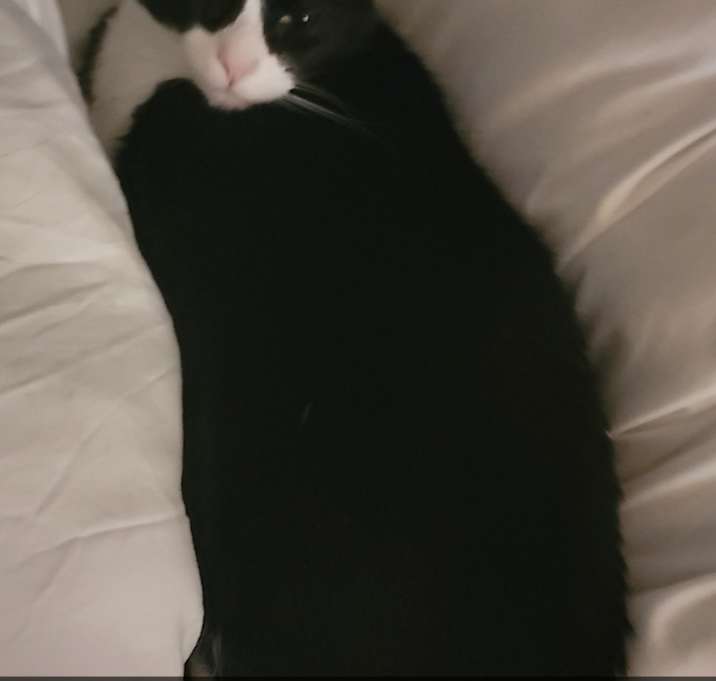 Photo of Vinny