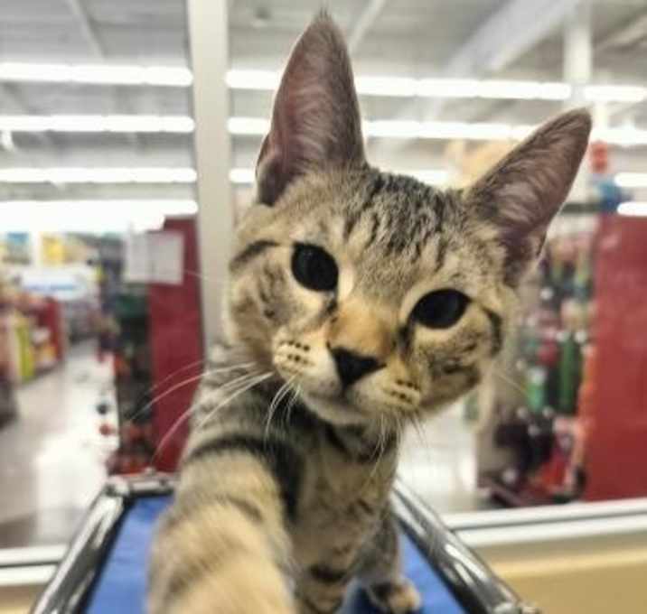Photo of Dimitri