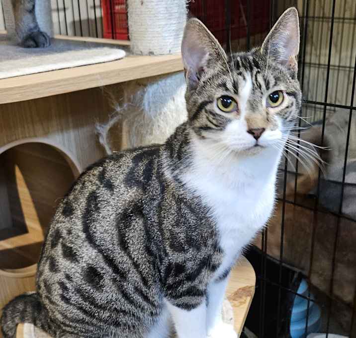 Photo of Ferris
