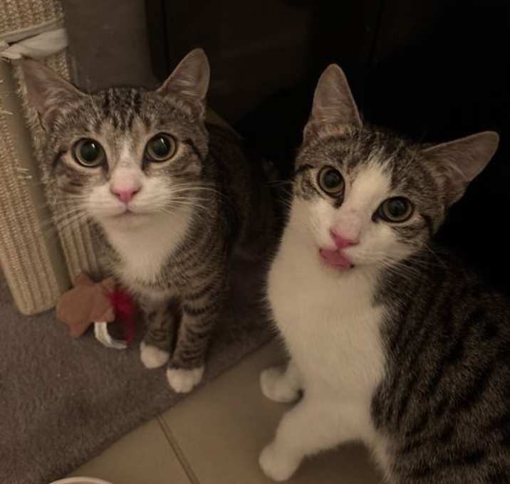 Photo of Jack and Ollie