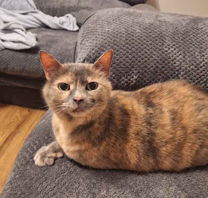 Photo of Missy