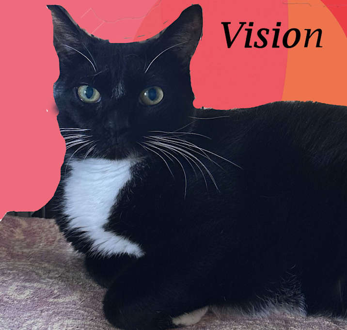 Photo of VISION