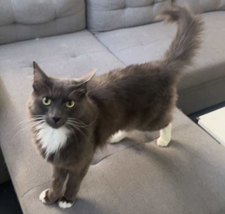 Photo of Bobbi