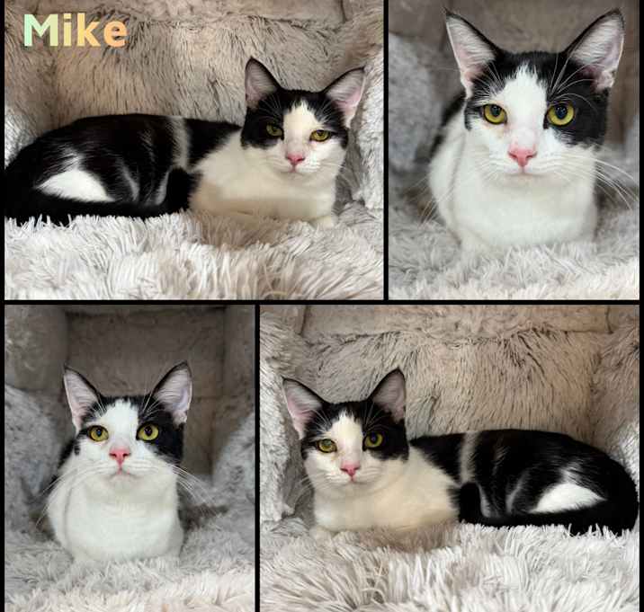 Photo of Mike
