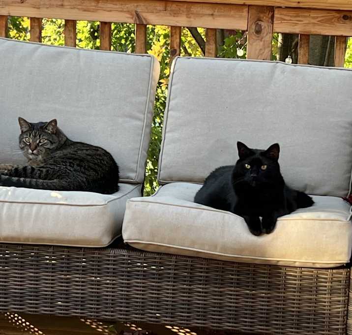 Photo of Jag and Bentley
