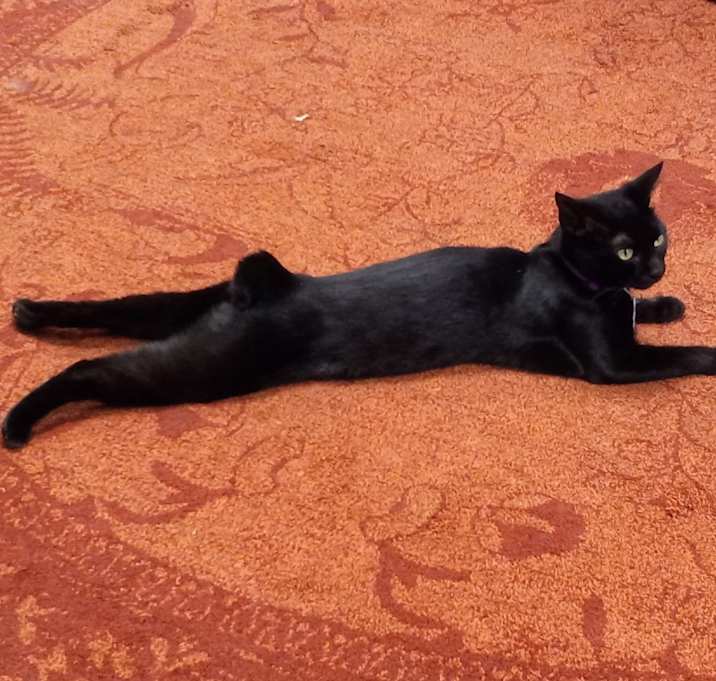 Photo of Margo