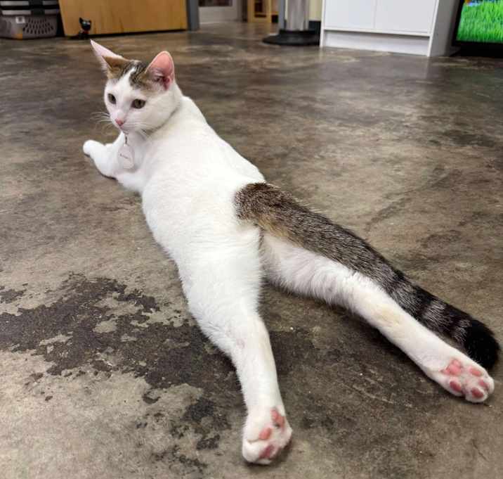 Photo of Artemis