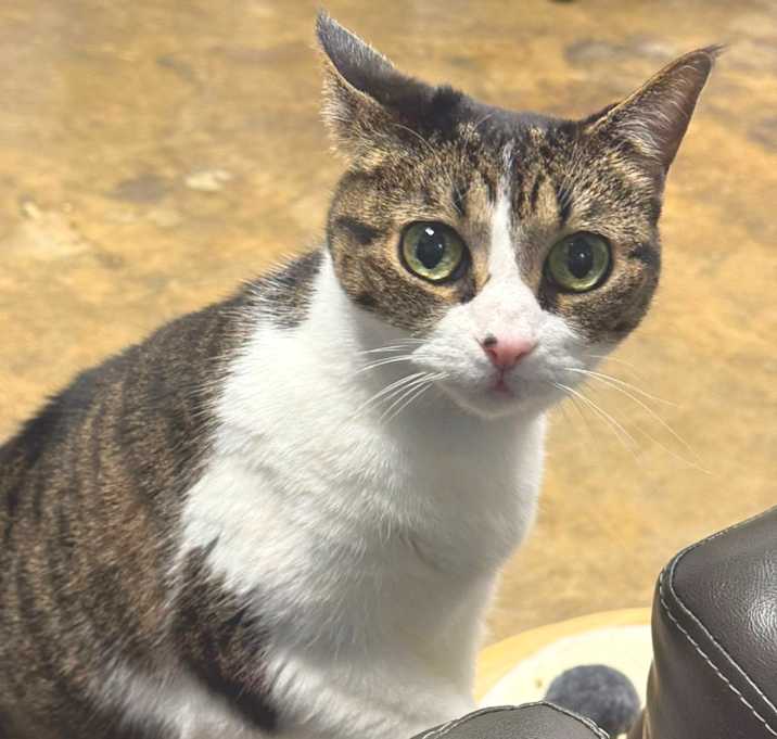 Photo of *Ace