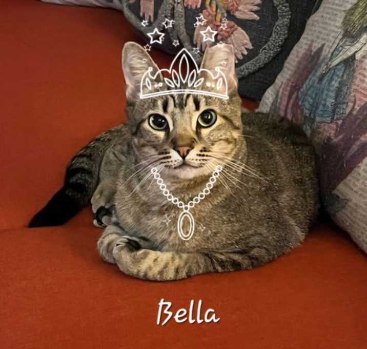 Photo of Bella #princess-warrior