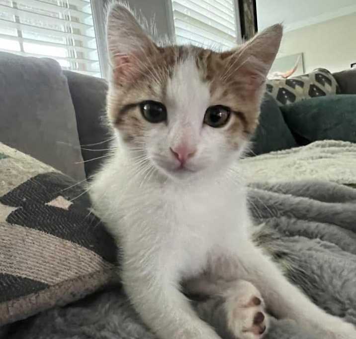 Photo of Obi-Wan