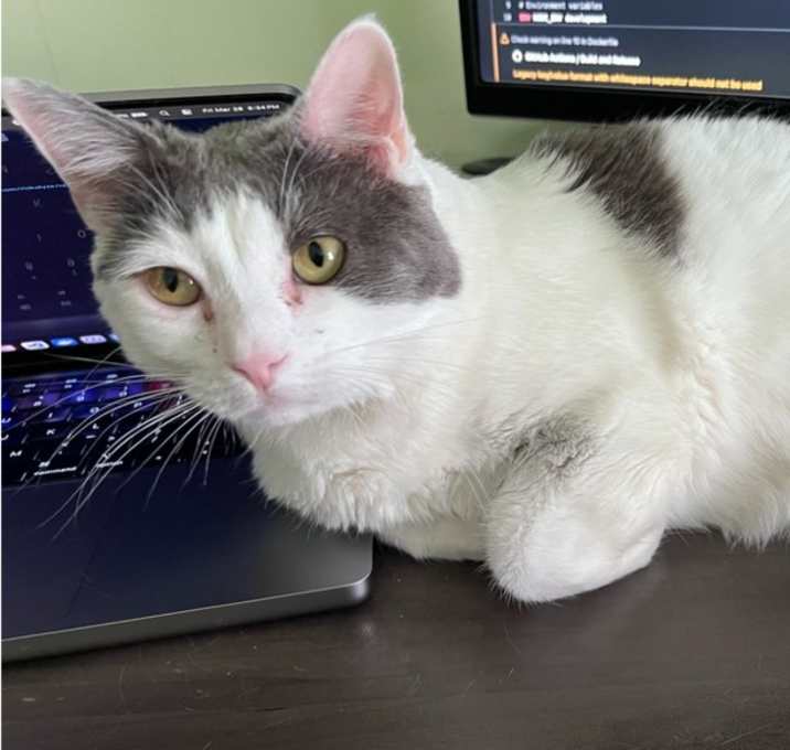 Photo of Sina