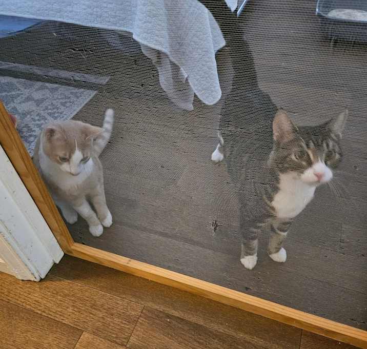 Photo of Simon