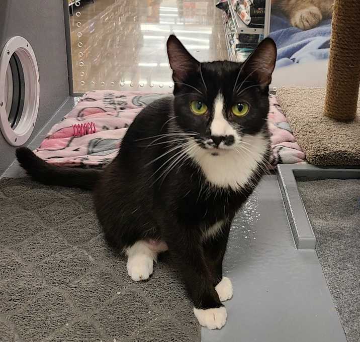 Photo of Ghost