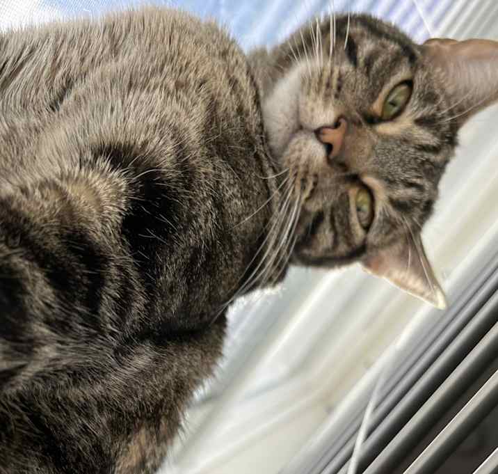Photo of Libby