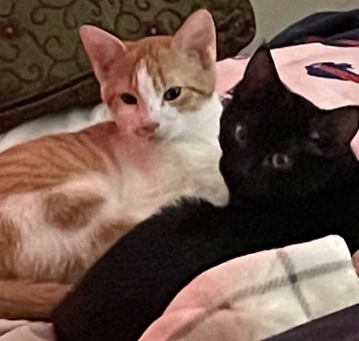Photo of Stela and Cesar