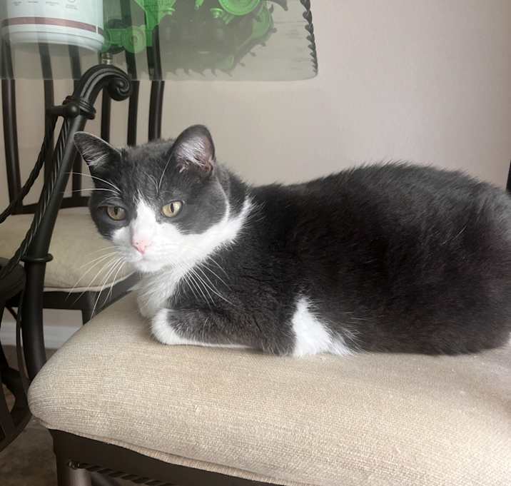 Photo of Jasper