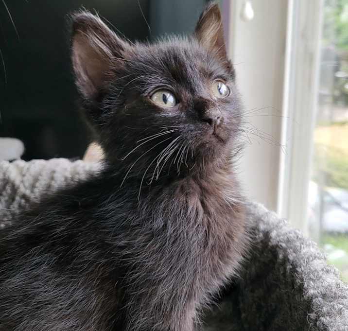 Photo of Bugsey