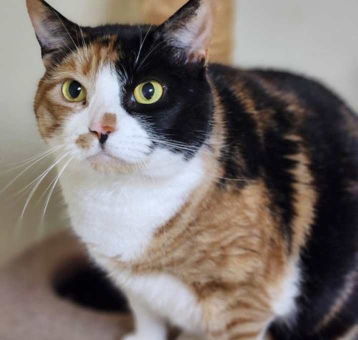 Photo of Karma2