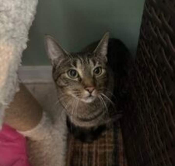 Photo of Georgie