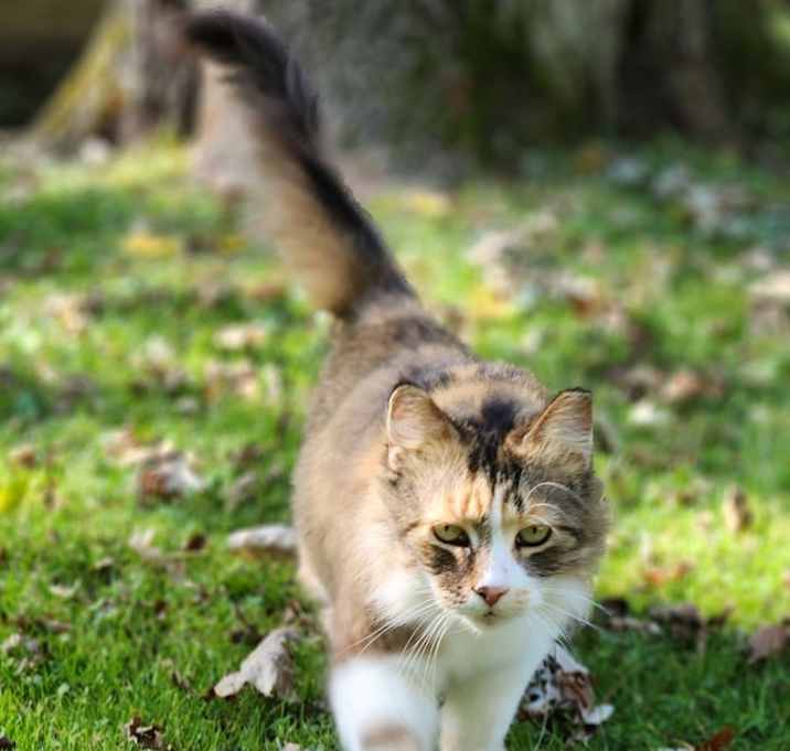 Photo of Eloise