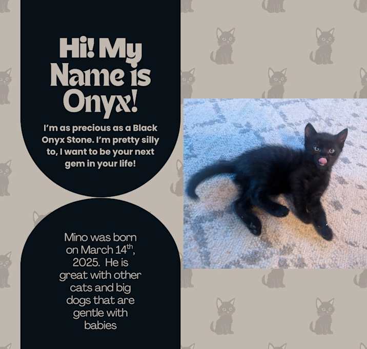 Photo of Onyx