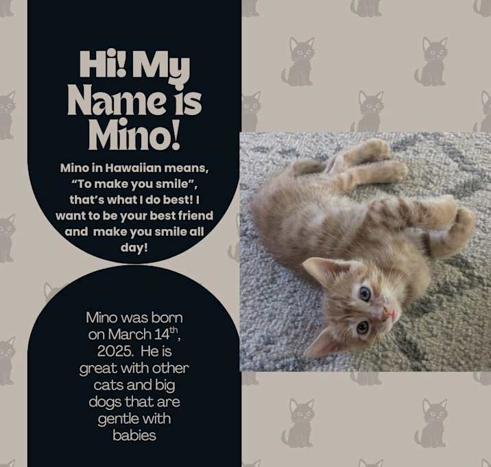 Photo of Mino