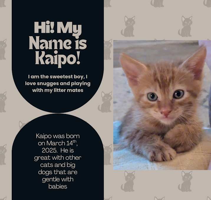 Photo of Kaipo