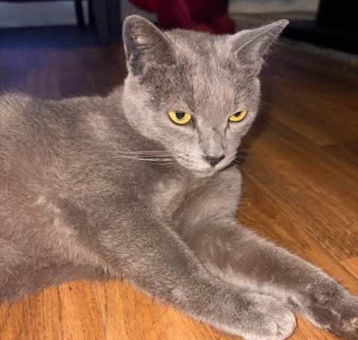 Photo of Smokey