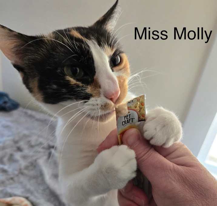Photo of Molly
