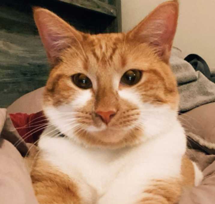 Photo of Roxy