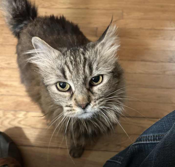 Photo of Bette Boo