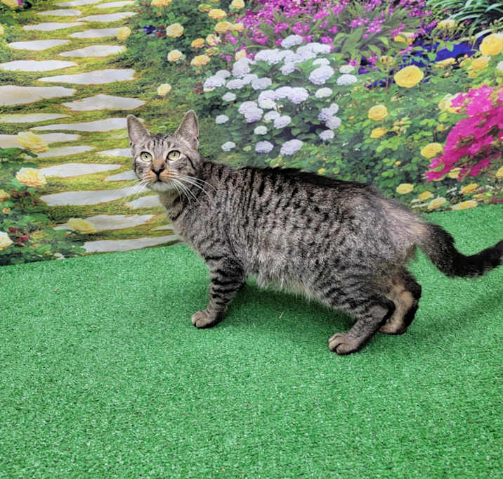 Photo of Sugar