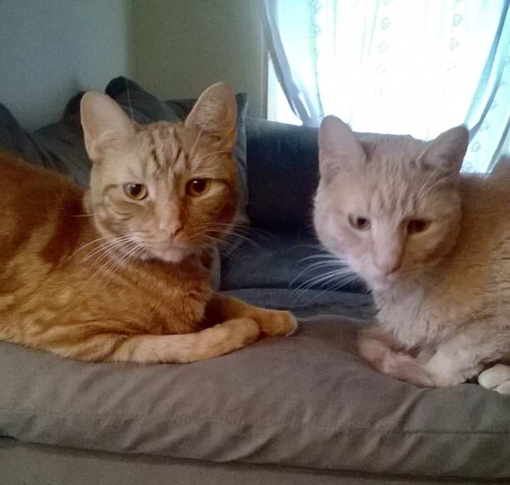 Photo of Dusty and Lefty