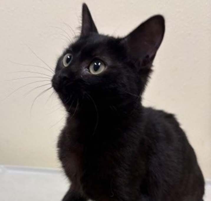 Photo of Buffy