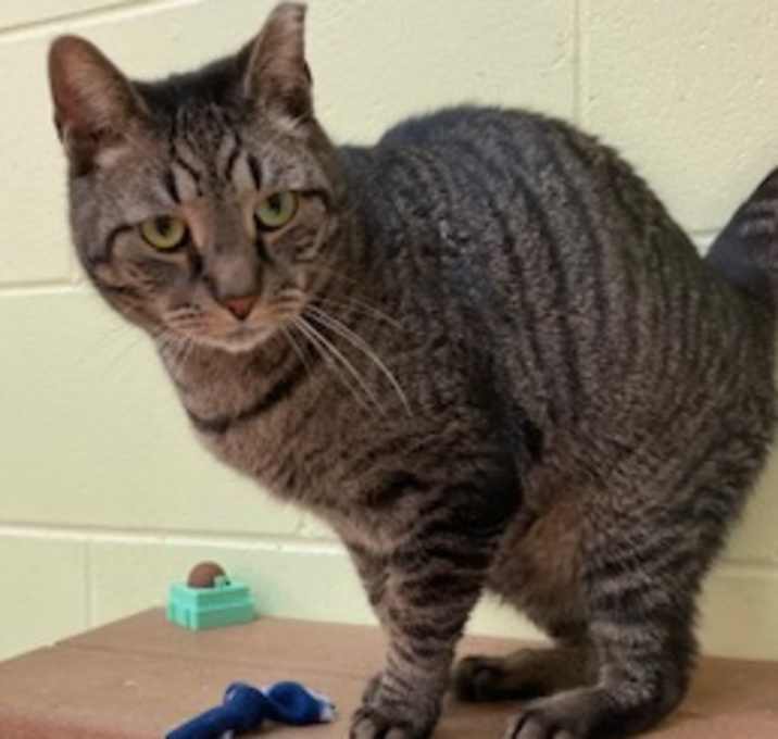 Photo of Jasper