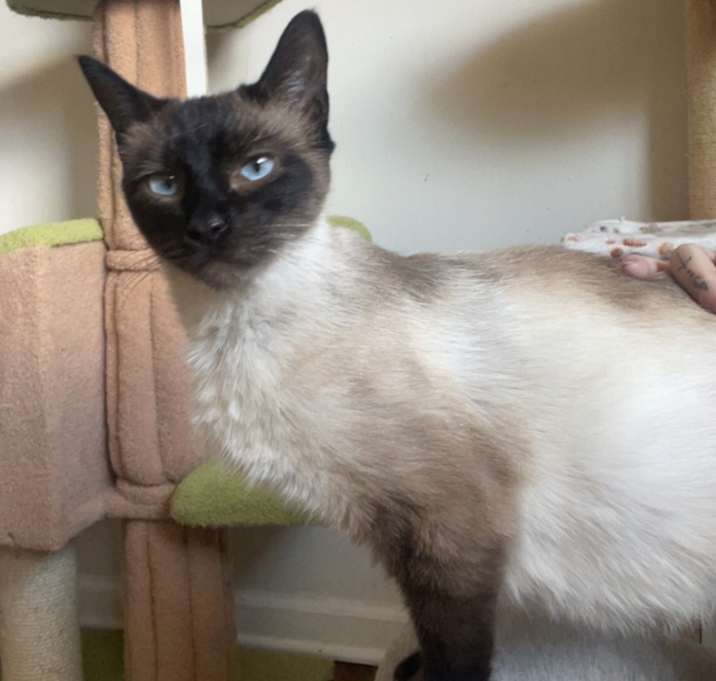 Photo of Mystique