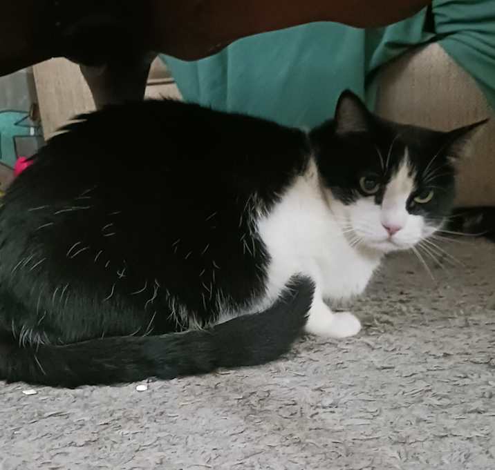 Photo of Quasey