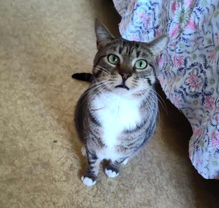 Photo of Chanel