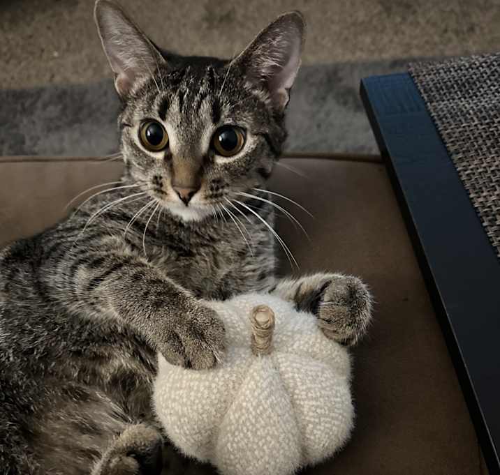 Photo of Sadie Mae