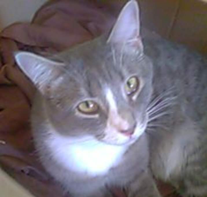 Photo of Edgar
