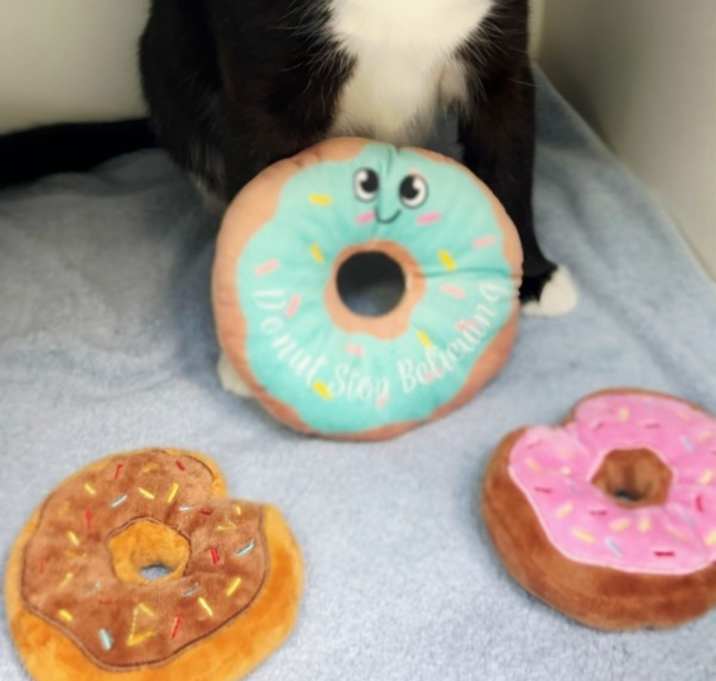 Photo of Donut