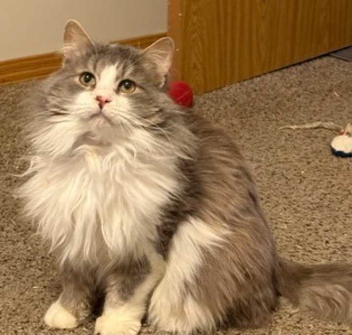 Photo of Rodney