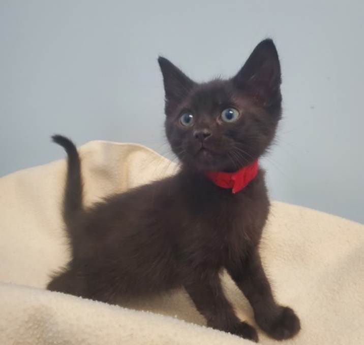 Photo of Charley