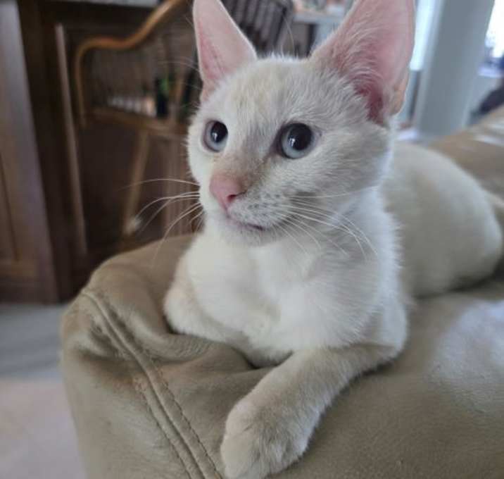 Photo of Bernard