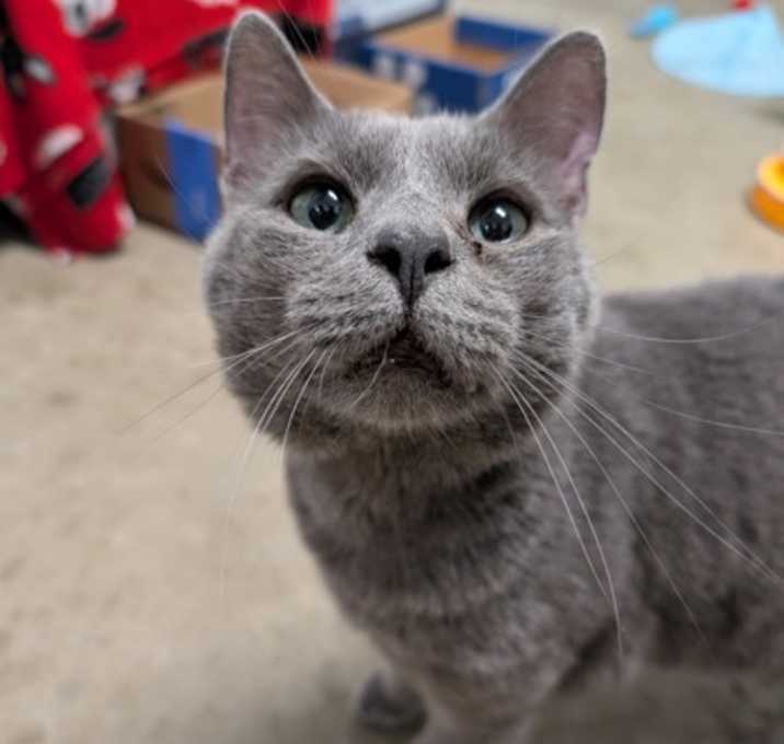 Photo of Pita