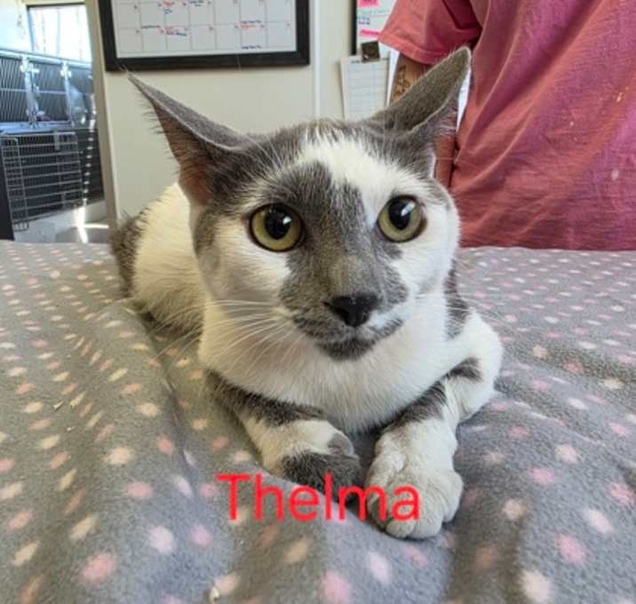 Photo of Thelma