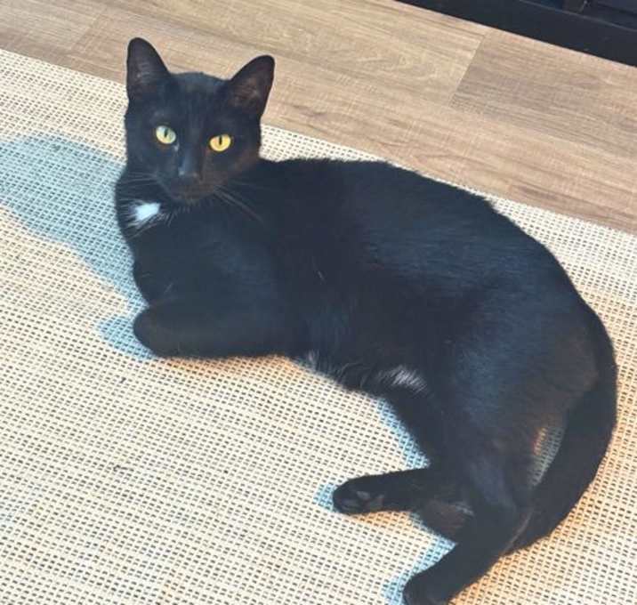 Photo of Kimchi
